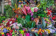 Mercado do Bolhão